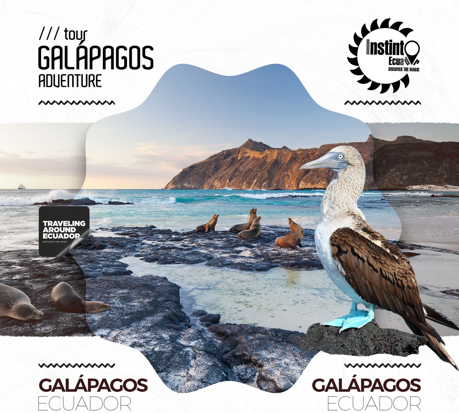 galapagos tours