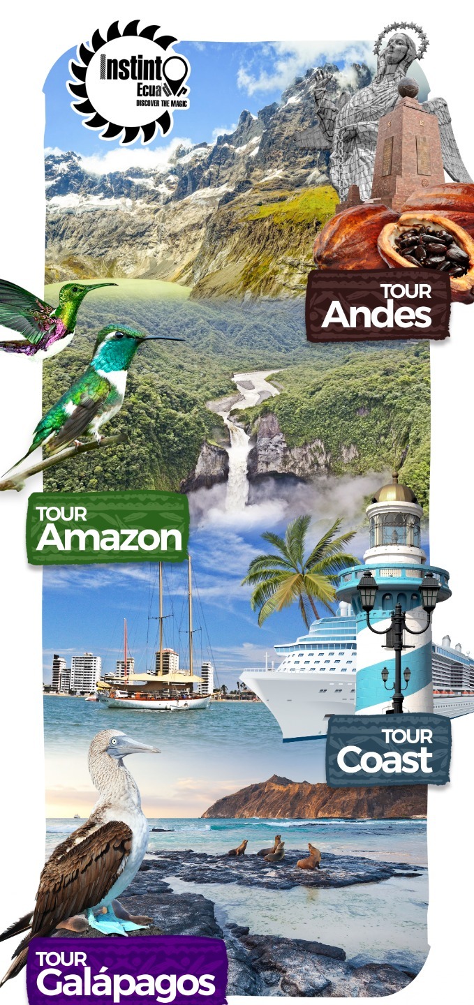 tours in ecuador